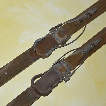 Διαμέρισμα Aloisia *