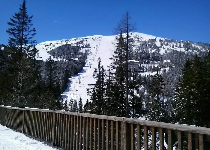 Aloisia Daire Sankt Michael im Lungau